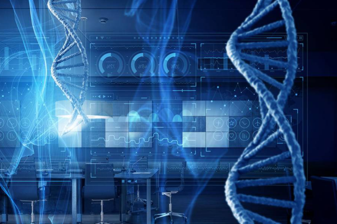 New Year's Day Summary (December 30th - January 1st) Large Model Daily Collection