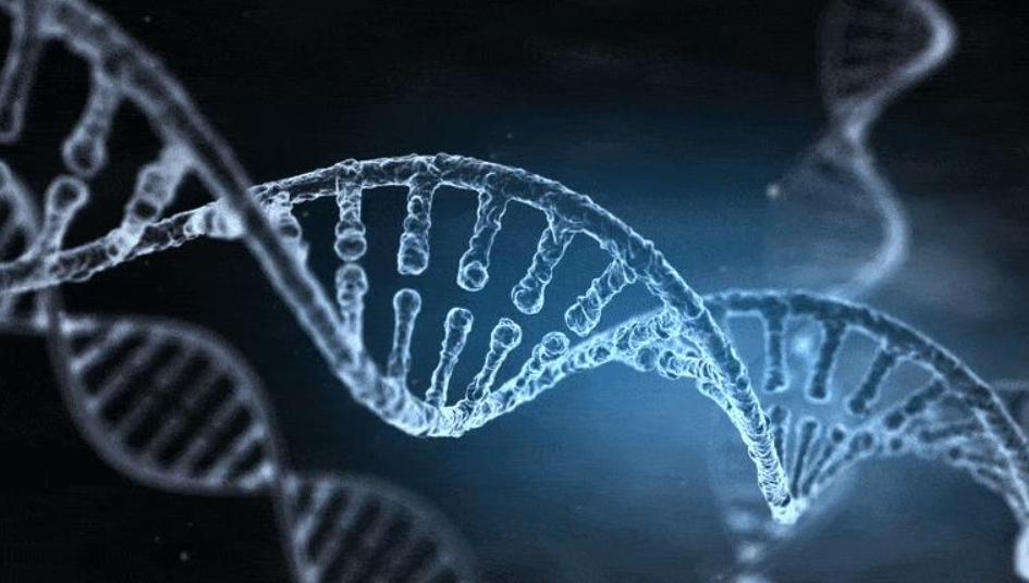 12月15日大模型日報合輯